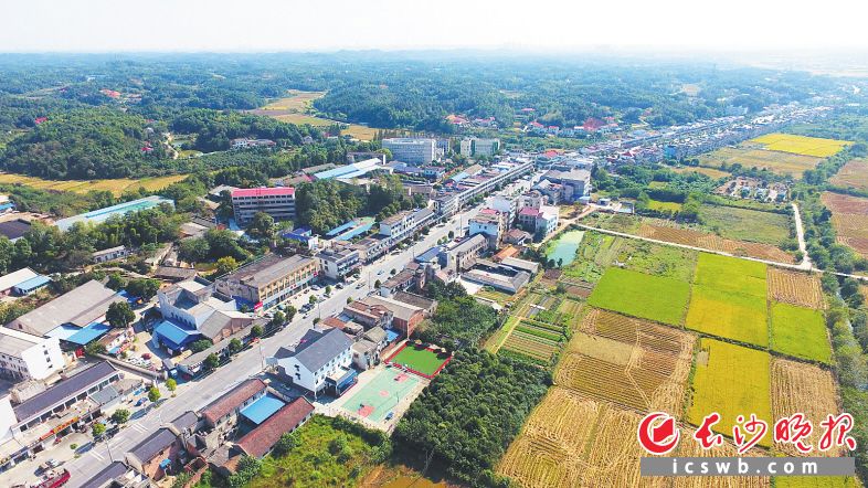 G107长沙县段。图片均由长沙市公路建设养护中心提供