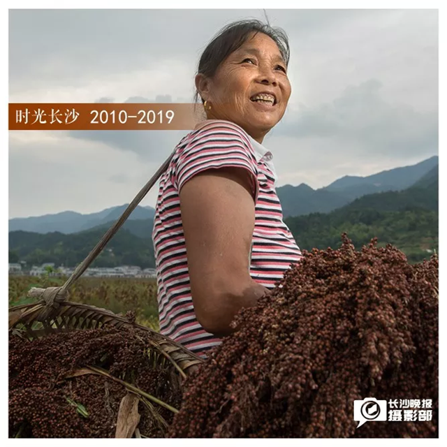 2018年9月12日，今年60岁的李伍香，家就在官山村，每天早上等露水褪去后。她和伙伴们就开始跟着高粱收割机在一旁捡高粱穗。每天工作八小时，午饭由尹家解决，每天可以捡到100斤左右的高粱