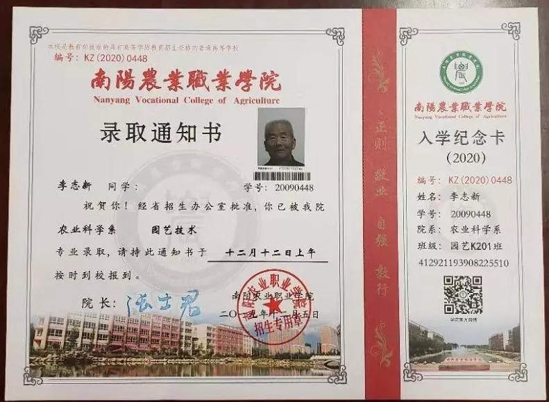 本文图片均来自河南日报客户端