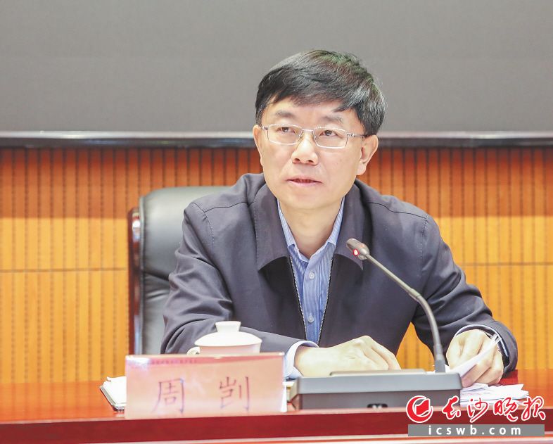 望城经开区党工委书记周剀。长沙晚报通讯员 汪开 摄
