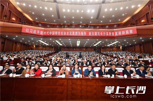 图片均由全媒体记者 王志伟摄