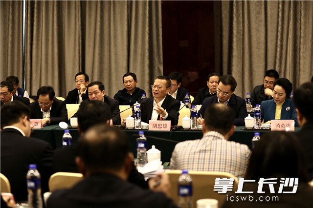 胡忠雄参加岳麓区代表团审议。图片均为 周数邑 摄