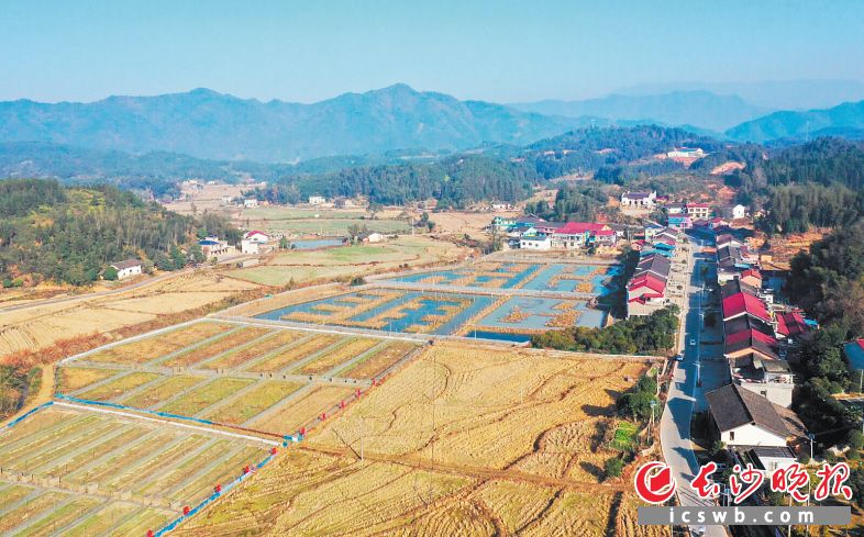 浏阳市小河乡通过开辟“旅游+文化+扶贫”发展新模式，培育5个长效产业，打造8个特色产业基地，闯出了脱贫致富的新路径。长沙晚报全媒体记者 邹麟 摄