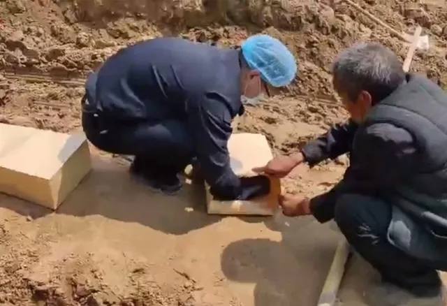直播截图