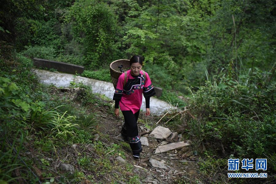 施林娇行走在十八洞村的山路上准备直播砍柴（4月23日摄）。