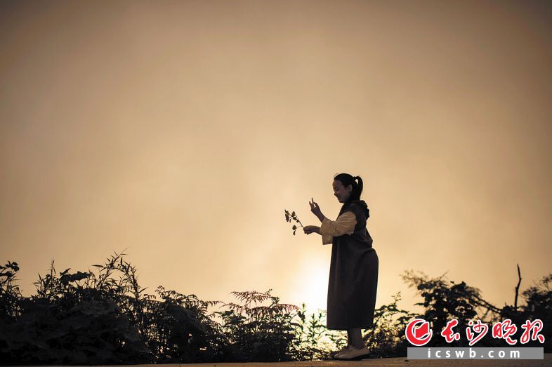吴添春告诉记者，她在做一个梦，梦里洛塔锥栗的香甜，正和她的“湘西山大王的特产小店”一起慢慢飘向更远的地方。