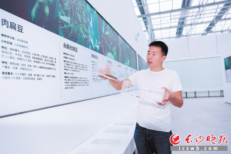老种子博物馆内，于建起在作讲解。