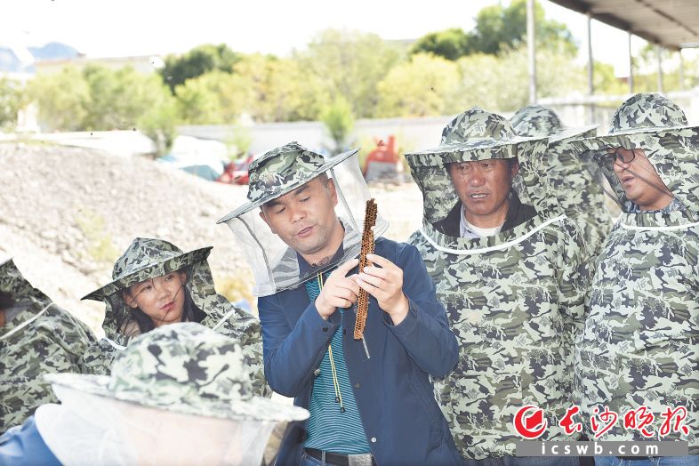 伍国强（左二）为山南贡嘎县的藏族同胞送去养蜂技术，帮助他们通过养蜂脱贫致富。