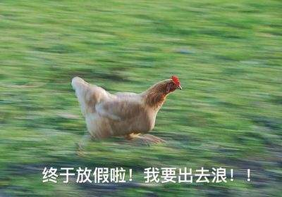 第一个冲出考场的你