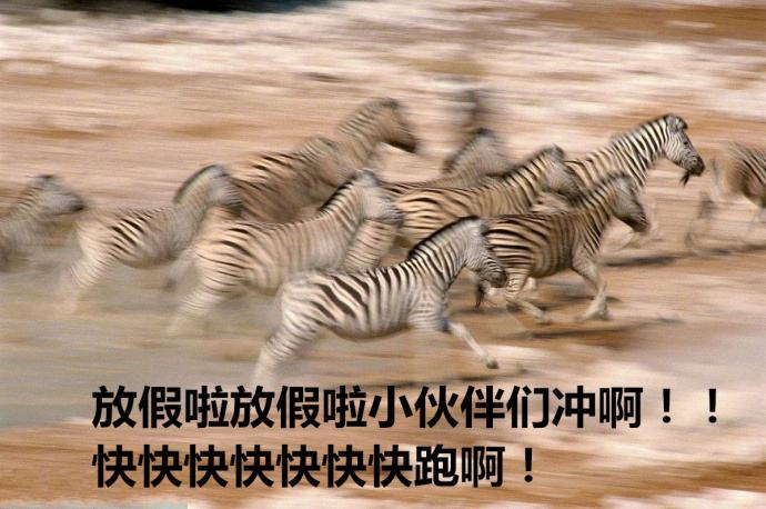 接连冲出考场的你们