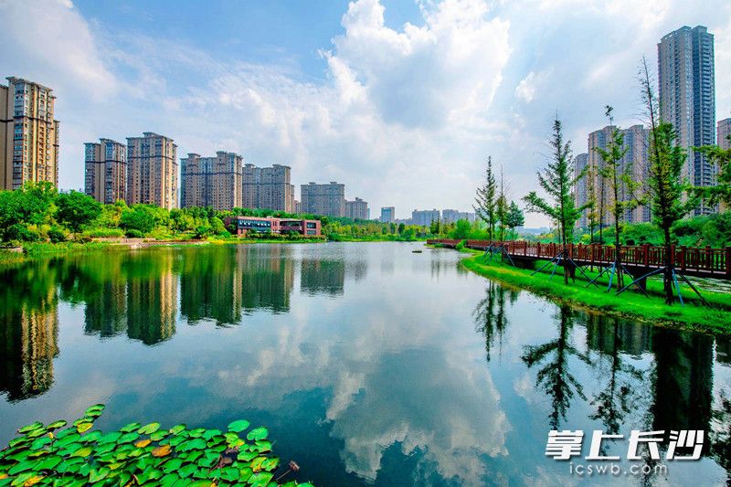 水清岸绿、风光旖旎，经过多年治理，圭塘河已蝶变成令人心旷神怡的景观带。照片均为 刘科 摄