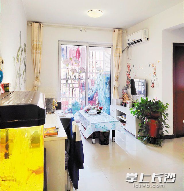 麓城印象公租房小区里，姜安宁将60平方米的家布置得很温馨。受访者 供图