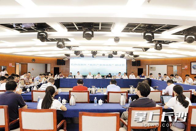 7月30日下午，长沙高新区“软件产业再出发”研讨会在高新区管委会举行，专家云集激荡起一场看得见未来的“头脑风暴”。岑军 摄