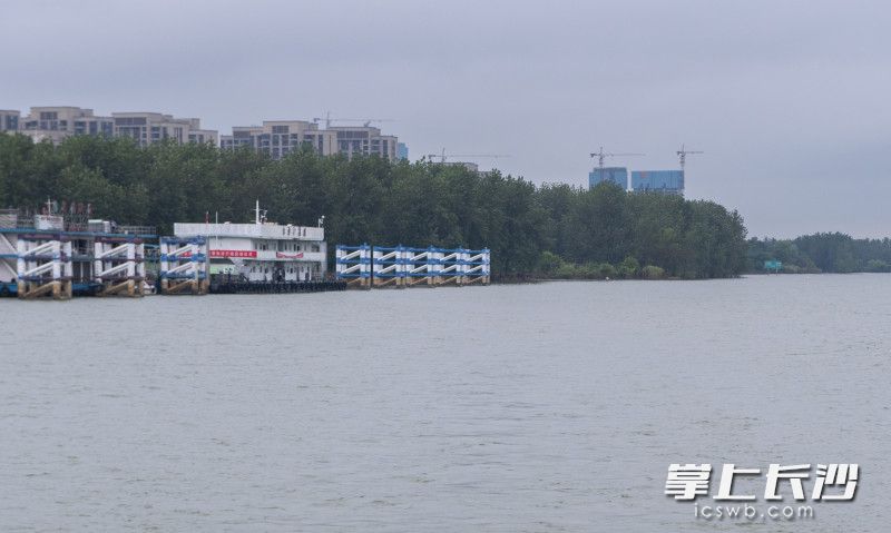 8月10日，长沙迎来降雨，记者在湘江望城段看到水位有所回升。长沙晚报全媒体记者 邹麟 摄