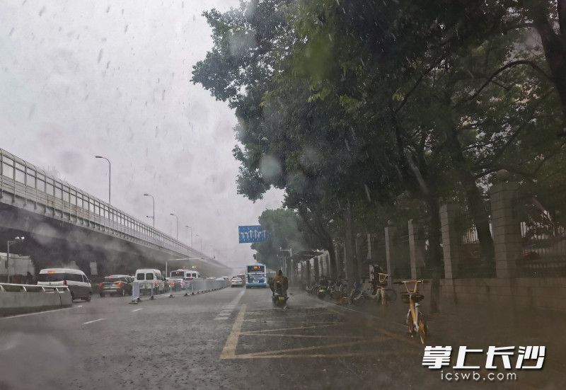 8月10日上午9时40分，长沙突降暴雨，倾盆大雨中，市民从东二环冒雨行进。 长沙晚报全媒体记者 李锋 摄
