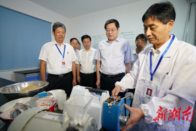 （8月10日上午，省委书记杜家毫在金霞粮食购销公司毛家嘴粮库检验室，查看粮食质量检测情况。）