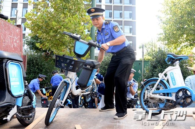 高新区城管执法大队的工作人员将占道违停的共享单车进行清理。吴梦珊 摄