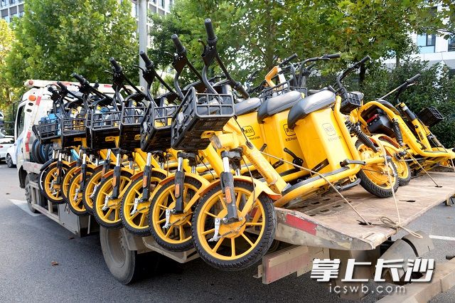 此次行动共清理共享单车、共享电单车100多辆。吴梦珊 摄
