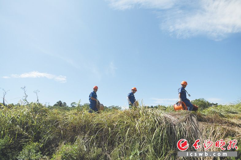 烈日下，巡线队员们拎着抽水设备赶往作业地点。　