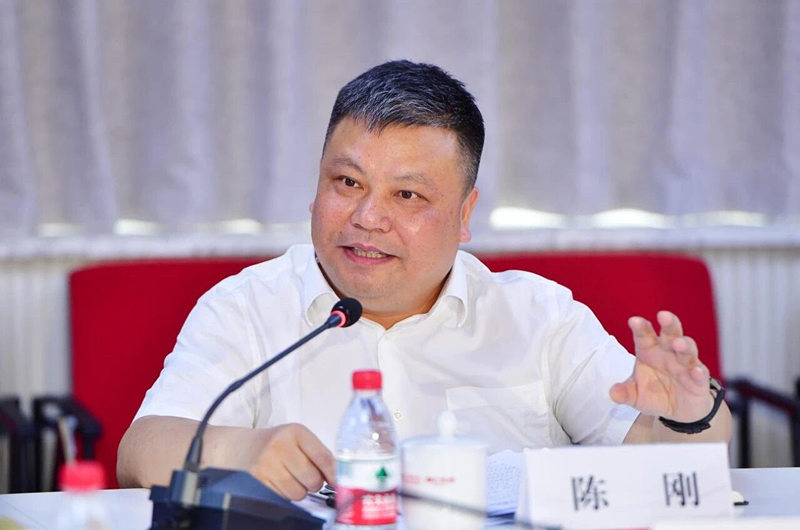 市委常委、市委宣传部部长陈刚讲话。