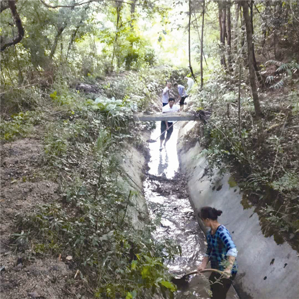 齐心通渠抗旱。陈佳 摄 齐心通渠抗旱。陈佳 摄