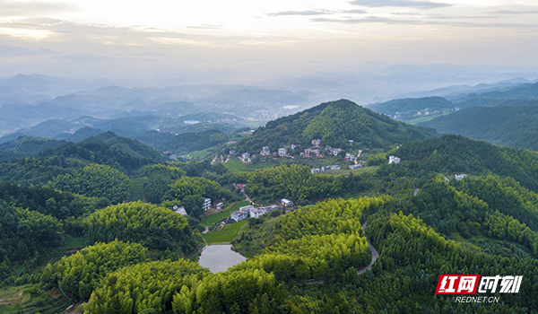邵阳市新宁县石云村是全省重点的扶贫村，这里海拔高，山林面积广大，一个村的占地面积有一百多平方公里。