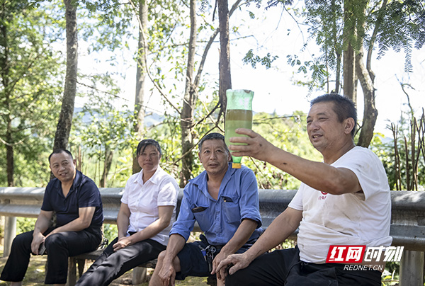 蒋爱文用瓶子收集了大半瓶油水混合物，待分层后，给同事介绍，上面的是纯山胡椒油，下面的是水。