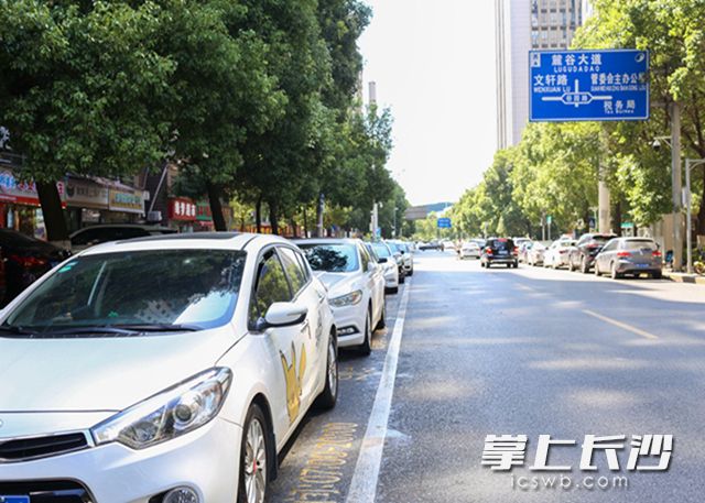 近日，长沙高新区谷苑路、谷园路等5条路段共计398个路内泊位已正式上岗。柯鸣 摄