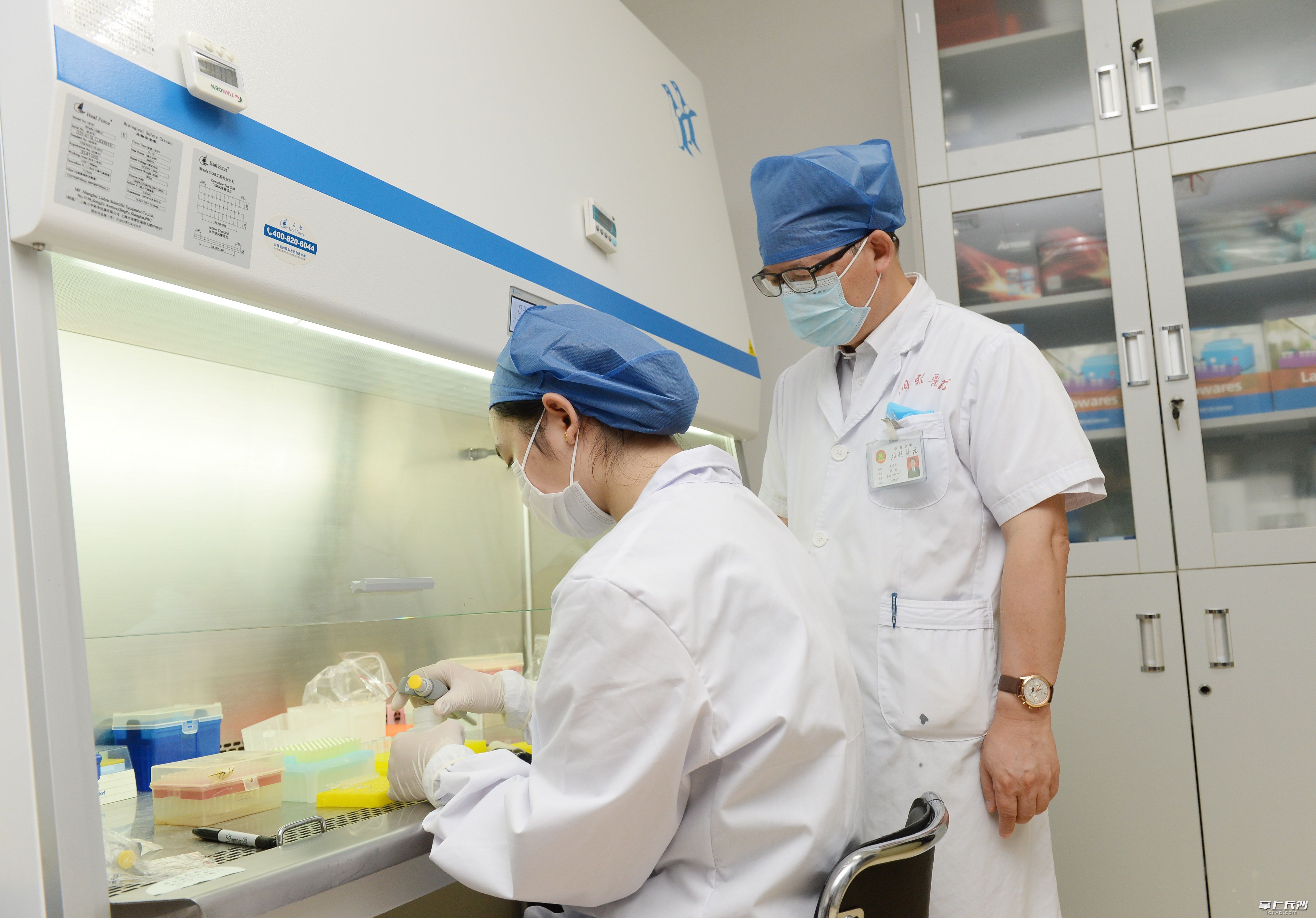 吴安华在指导科研人员做实验。长沙晚报全媒体记者石祯专摄 吴安华在指导科研人员做实验。长沙晚报全媒体记者石祯专摄