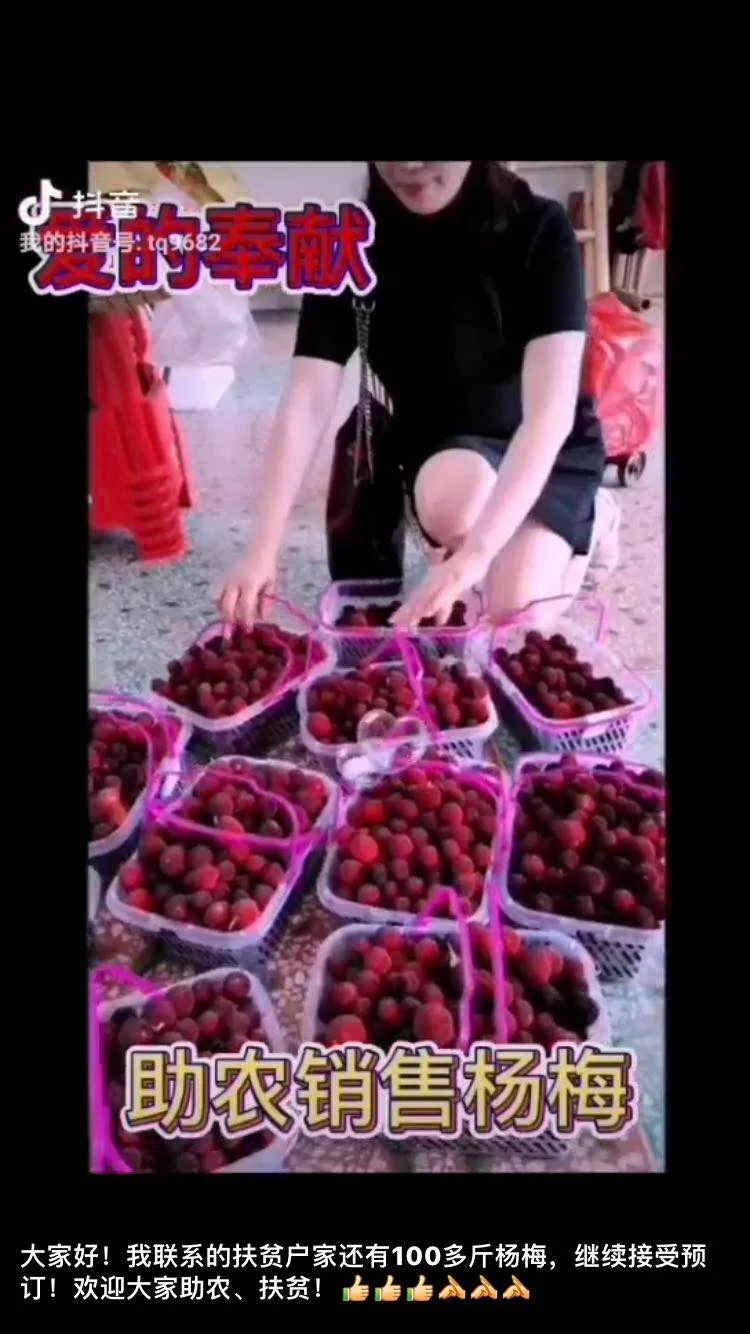 ▲许铁群用抖音帮助销售杨梅。