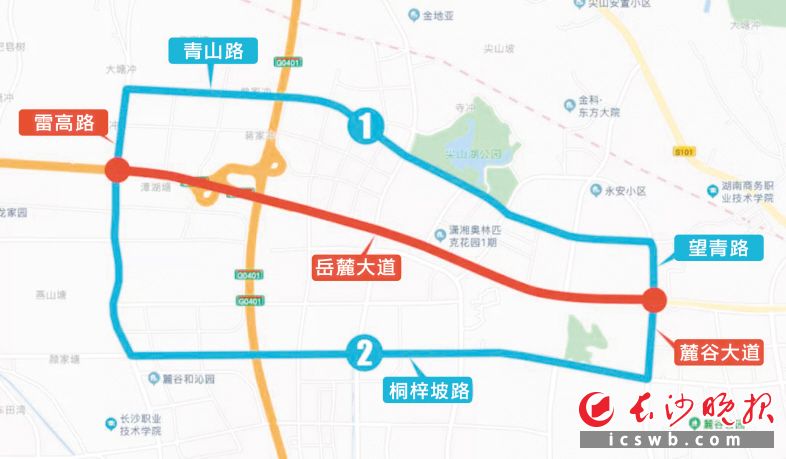 岳麓大道西往东方向一级分流线路图。 制图 戴莹芳