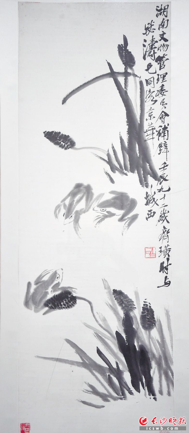 展览中的齐白石作品。均为长沙晚报全媒体记者 邹麟 摄