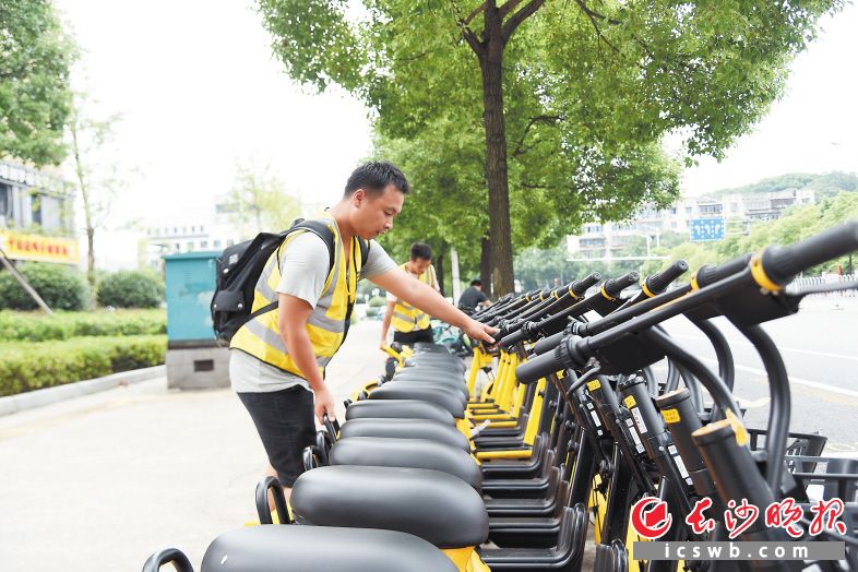 近日，在长沙马王堆路上，美团电单车运营专员将停车位上的车辆摆放整齐。长沙晚报全媒体记者 刘琦 摄