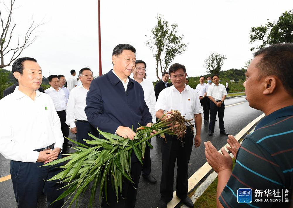 9月16日至18日，中共中央总书记、国家主席、中央军委主席习近平在湖南考察。这是16日下午，习近平在郴州市汝城县文明瑶族乡沙洲瑶族村沙洲现代农旅示范基地，了解扶贫产业发展和增收情况。新华社记者 谢环驰 摄