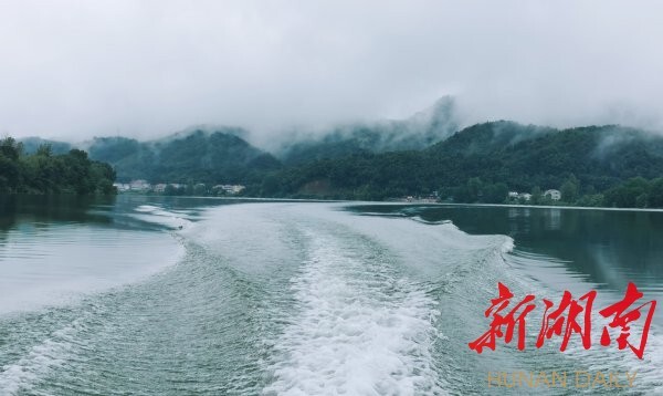 9月16日，洋泉湾村云蒸雾绕，犹如一幅水墨画。胡盼盼 摄