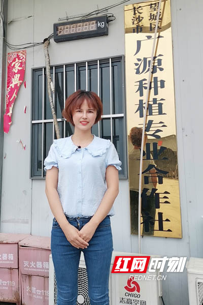 长沙市望城区广源种植专业合作社理事长肖定。