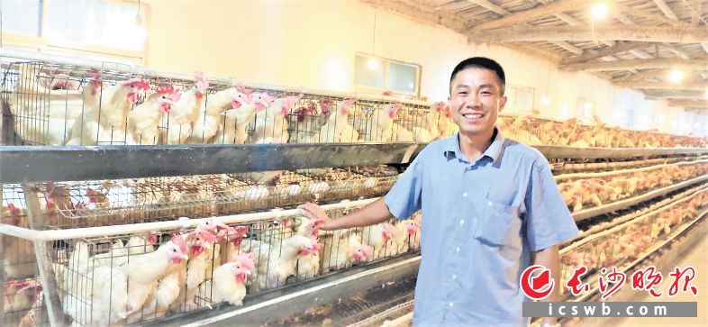 在宁乡老粮仓镇望江村，贫困户李正辉一家办起了养鸡场，“粮仓在线”让鸡蛋销路畅通。长沙晚报全媒体记者 张禹 通讯员 孙龙 摄影报道