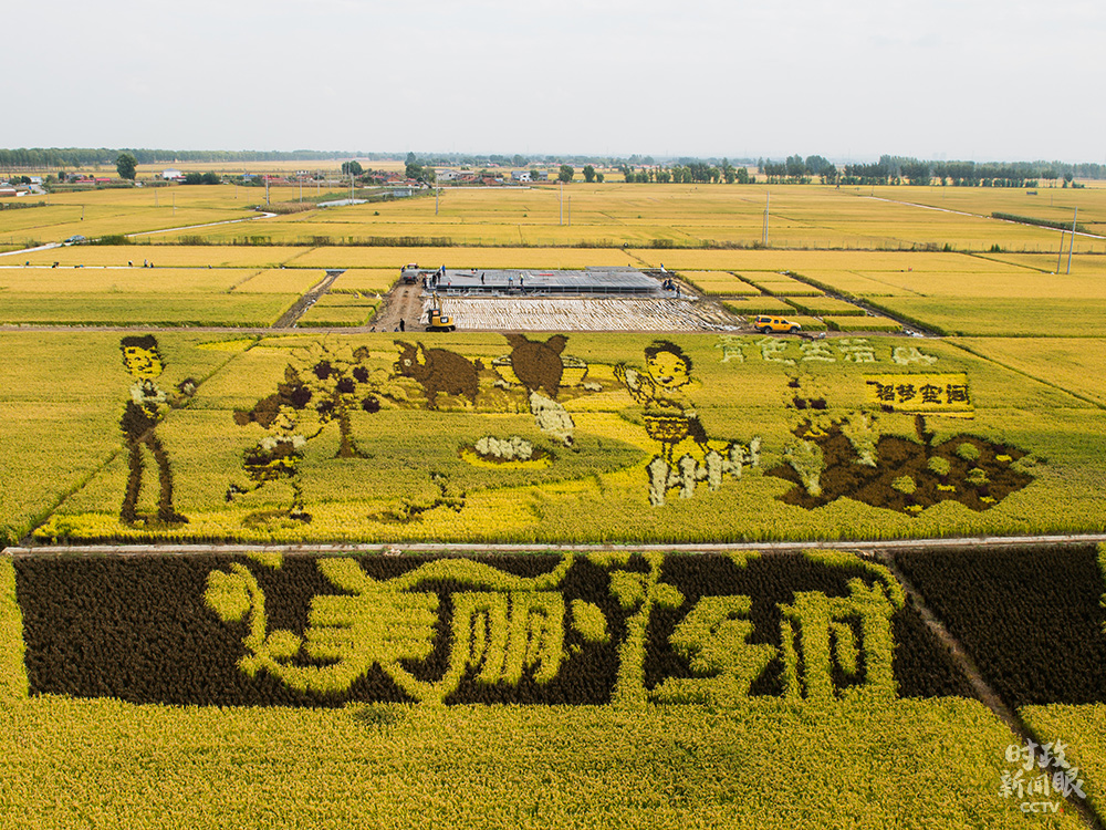 △今年9月22日是秋分，也是我国第三个“中国农民丰收节”。