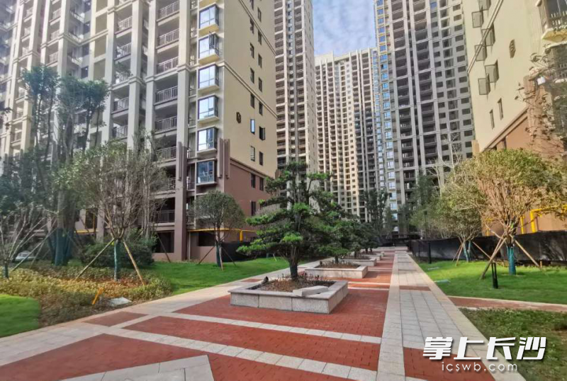 惟泽园小区实景。  均为通讯员供图