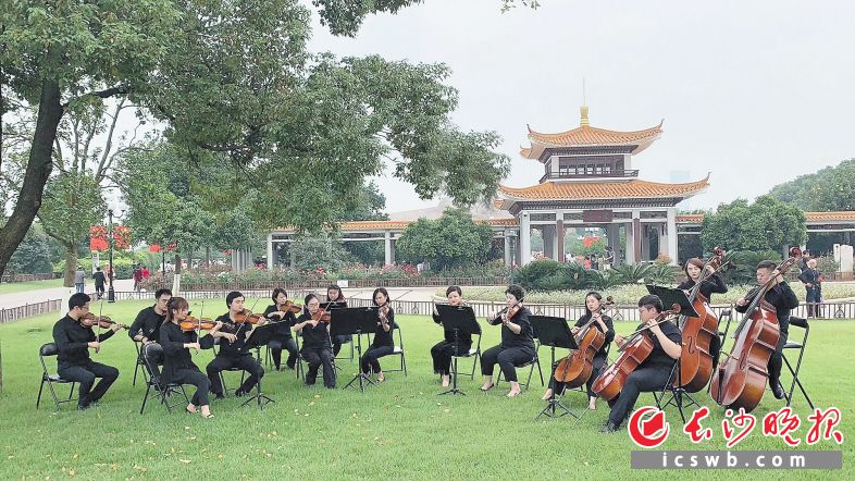 10月1日，长沙交响乐团在橘子洲景区等地为市民游客送上四场长沙市“百村千场文化进万家”文艺演出进景区秋之颂·假日音乐会。朱寒冰 摄