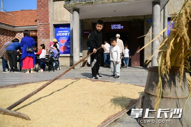 小孩子体验晒谷。