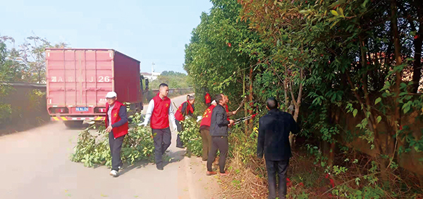 坪头村微网格长开展微服务，修剪树枝，美化环境。坪头村供图