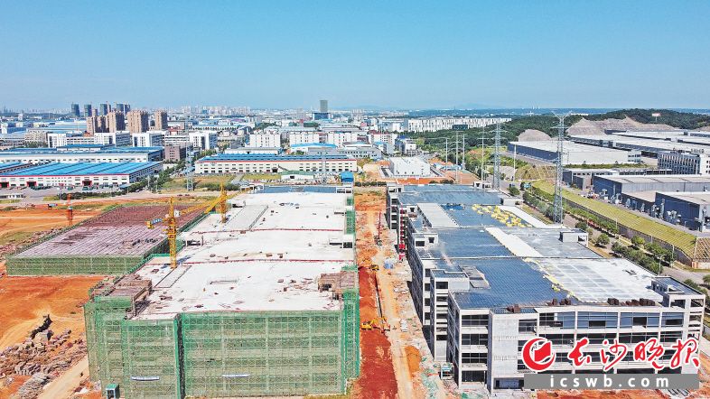 比亚迪宁乡动力电池生产基地项目主要生产厂房4号栋和5号栋均已封顶。长沙晚报全媒体记者 王志伟 摄