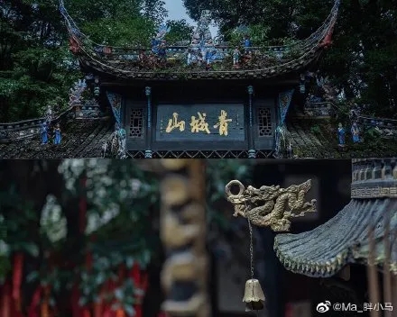 图片来源:@Ma_胖小马 图片来源:@Ma_胖小马