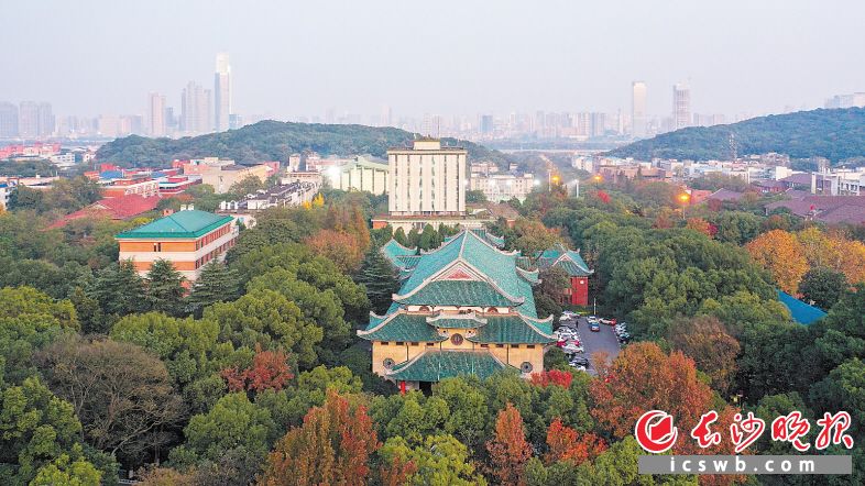 立志建设全国最美大学城、领先科技城、一流创业城的岳麓山大学科技城进入内涵建设新阶段。长沙晚报全媒体记者 邹麟 摄