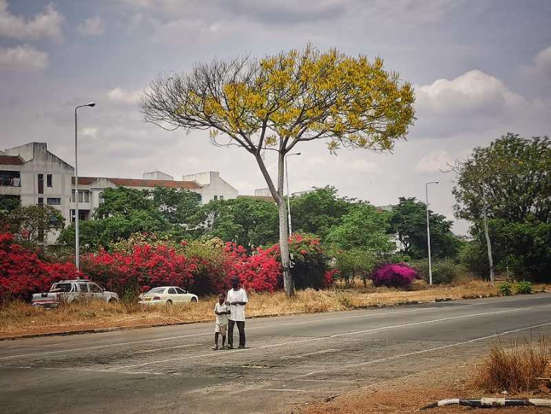 哈雷拉的秋景像一幅油画。受访者 供图