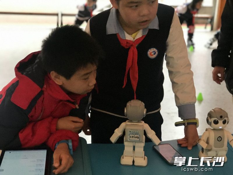 五年级彭尚轩正在通过编程指挥机器小猴的动作。 五年级彭尚轩正在通过编程指挥机器小猴的动作。