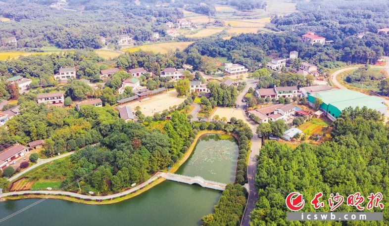 如今的静慎村乡村环境优美、村民宜居宜业，斩获了全国文明村、全国乡村治理示范村、全省美丽乡村等众多荣誉。长沙晚报全媒体记者 邹麟 摄