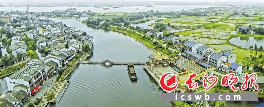 如今的望城大地，产业旺了，乡村靓了，贫困户乐了。　　望城区农业农村局供图