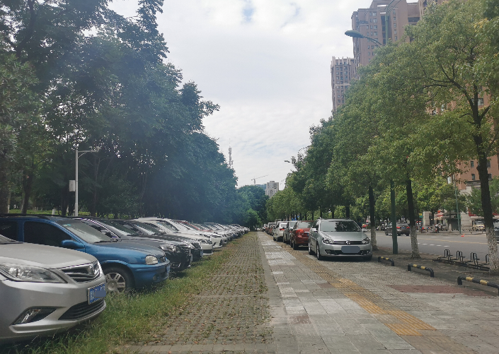 腾辉中路改造前(人行道)
